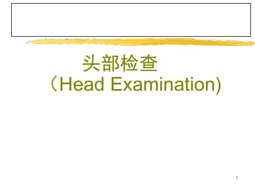 头颈部检查.PPT