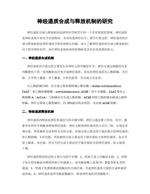 神经递质合成与释放机制的研究