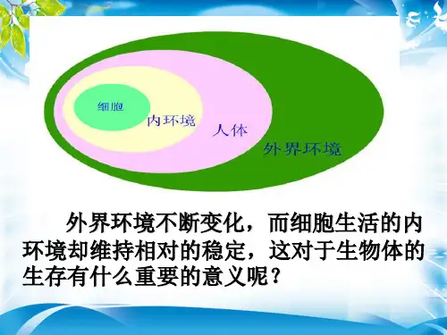人教版高中生物必修三第1章第2节 内环境稳态的重要性  课件(共40张PPT)[优秀课件资料]