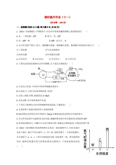 高中生物 课时提升作业(十一)