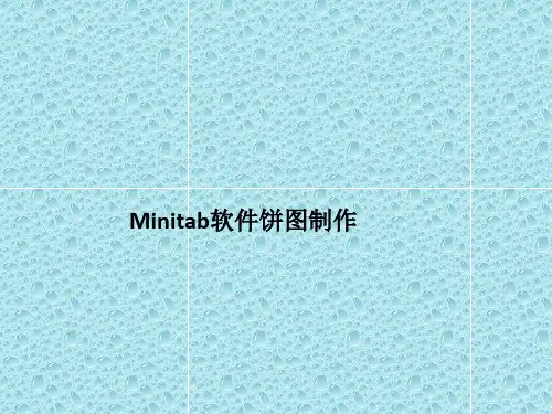 《Minitab饼图制作》ppt课件