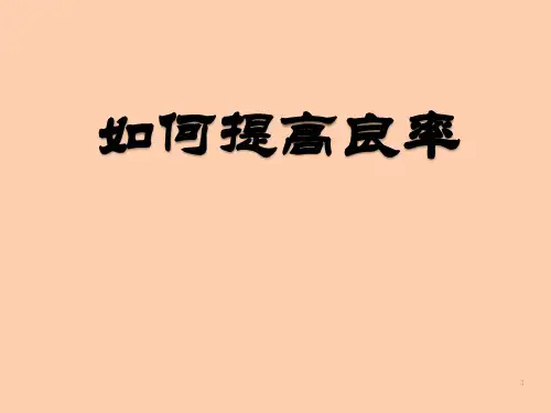 如何提高良率ppt课件