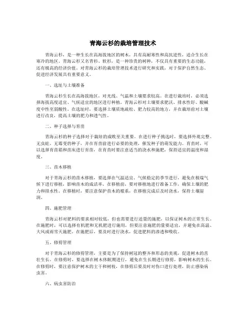 青海云杉的栽培管理技术