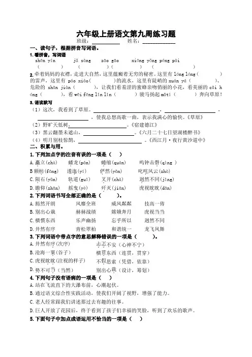 (部编版)六年级上册语文第九周练习题