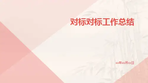 对标对标工作总结PPT