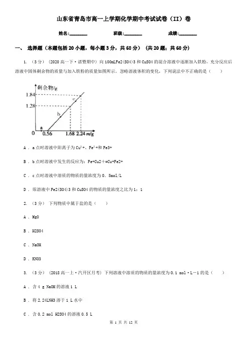 山东省青岛市高一上学期化学期中考试试卷(II)卷