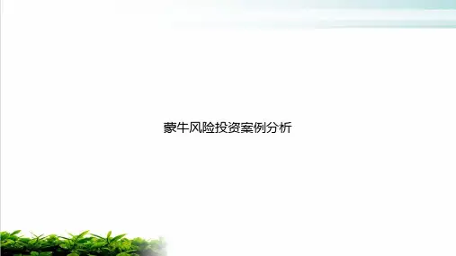 蒙牛风险投资案例分析PPT课件(模板)