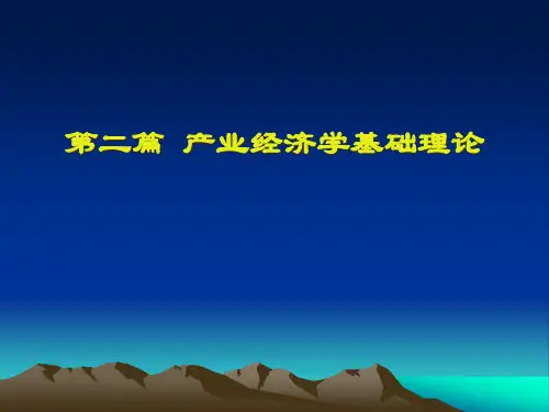 产业经济学讲义(第二篇-第1章)PPT课件