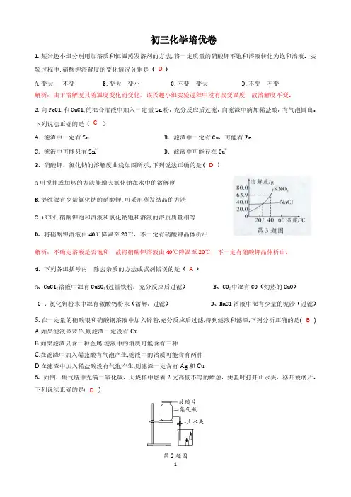 初三化学培优卷(答案版)