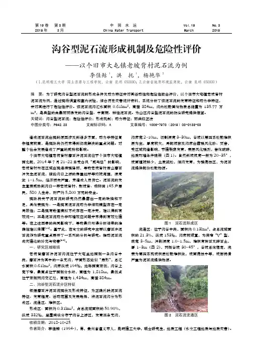 沟谷型泥石流形成机制及危险性评价——以个旧市大屯镇老坡背村泥石流为例