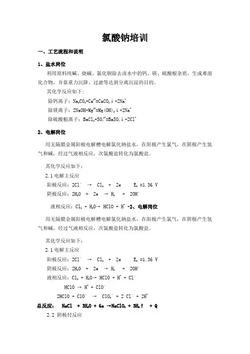 氯酸钠培训