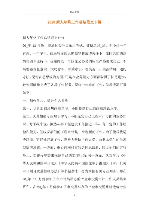 2020新人年终工作总结范文5篇