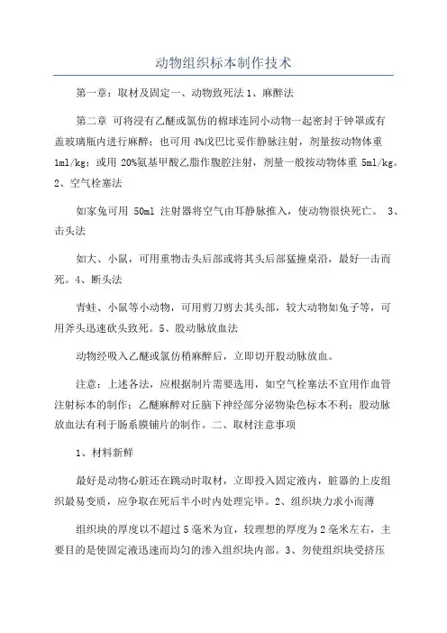 动物组织标本制作技术