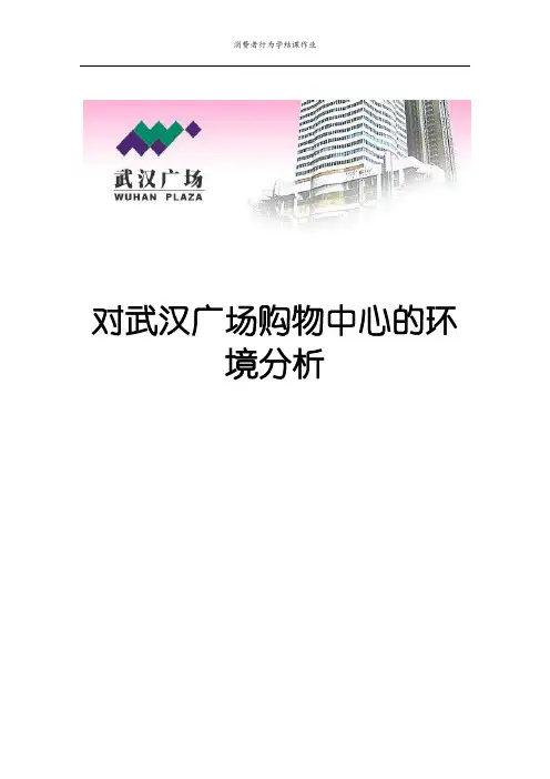 武汉广场购物中心内外环境分析