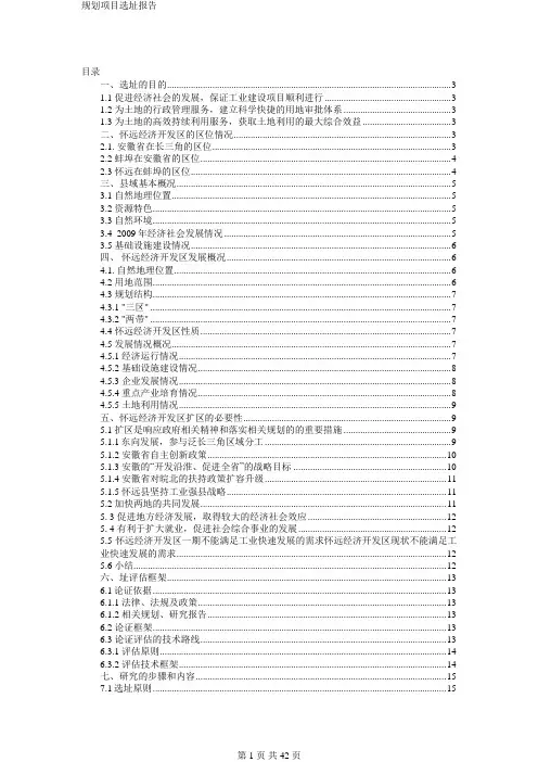 规划项目选址报告