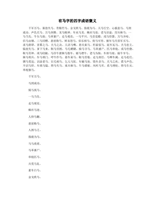 有马字的四字成语褒义