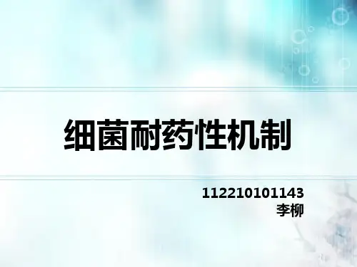 细菌耐药性机制