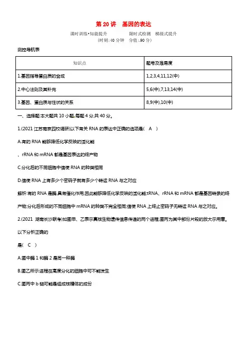 2021届高三生物一轮温习（课时训练+知能提升）第六单元 第20讲 基因的表达 新人教版(1)