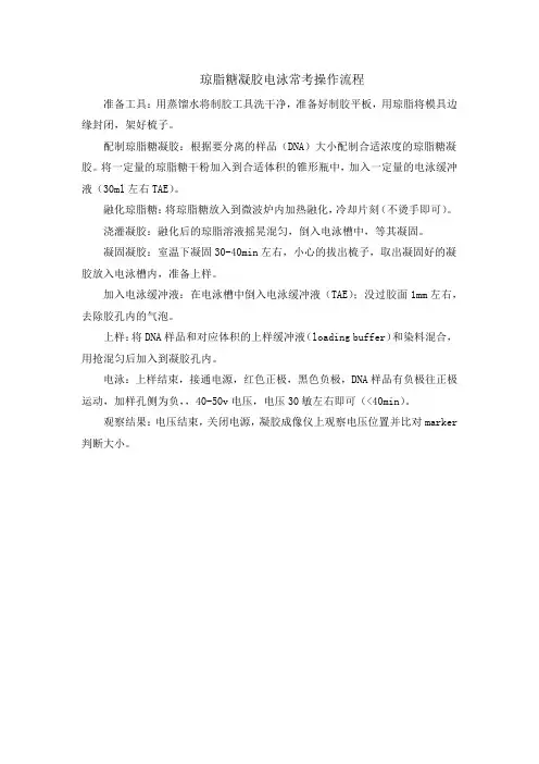 琼脂糖凝胶电泳常考操作流程