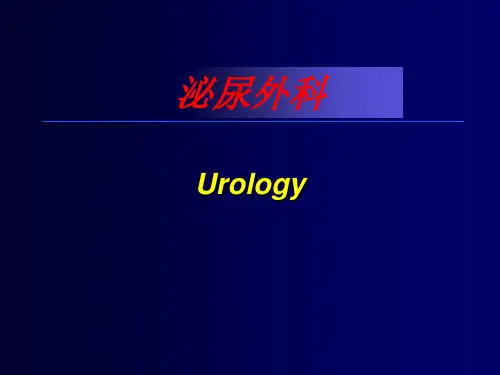 泌尿外科医学PPT课件