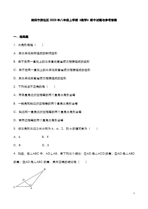 绵阳市游仙区2023年八年级上学期《数学》期中试题与参考答案