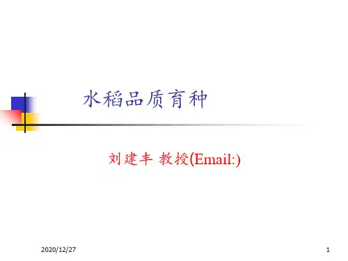 水稻品质育种 ppt课件