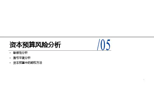 7-5资本预算风险分析