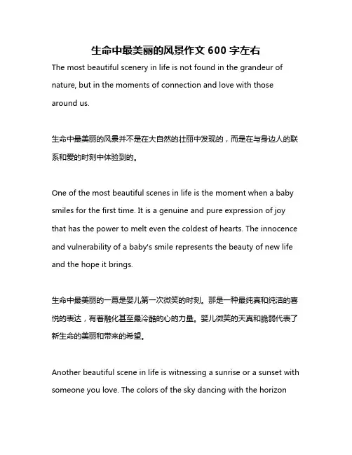 生命中最美丽的风景作文600字左右