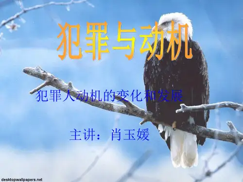 6犯罪动机的转化——肖玉媛