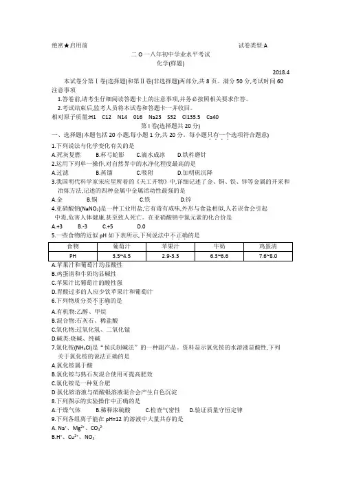 学鲁教版下学期期中考试中学化学试题