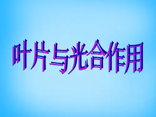 北师大版初中生物七年级上册 3.5.1 光合作用 (叶片与光合作用) 课件(共22张PPT)