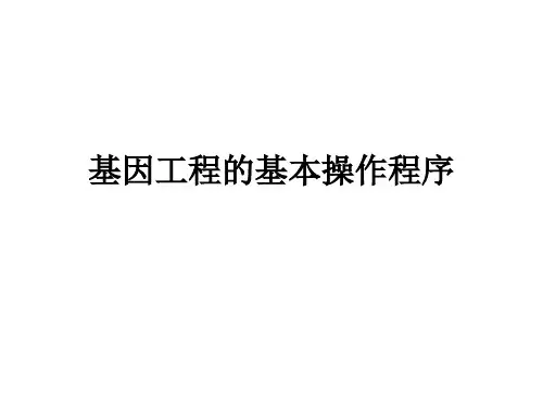 高三一轮复习生物：基因工程的基本操作程序课件