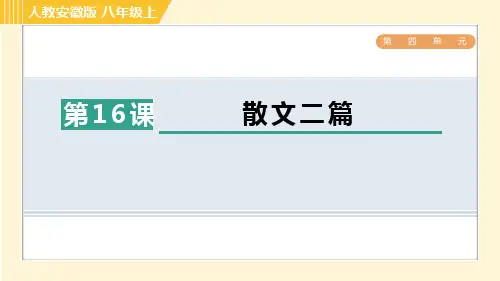 八年级语文上册16 散文二篇作业