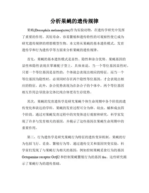 分析果蝇的遗传规律