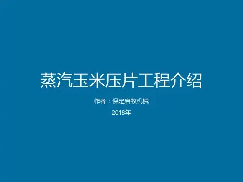 蒸汽玉米压片工程介绍