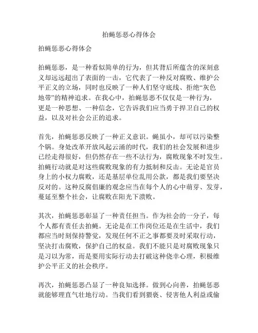拍蝇惩恶心得体会