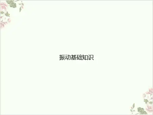 振动基础知识PPT.