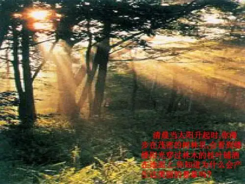 人教版高中化学高一化学必修一PPT课件物质的分类2