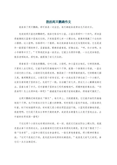 我的两只鹦鹉作文