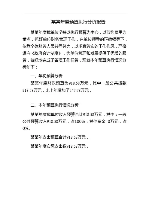 年度预算执行分析报告模板