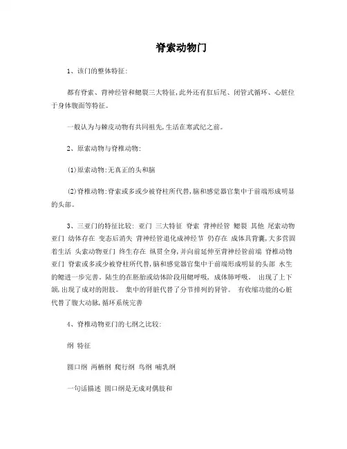 脊索动物门总结