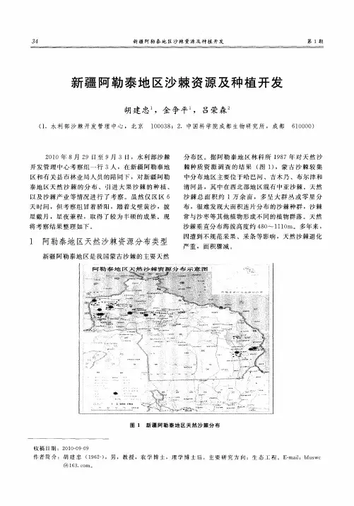 新疆阿勒泰地区沙棘资源及种植开发