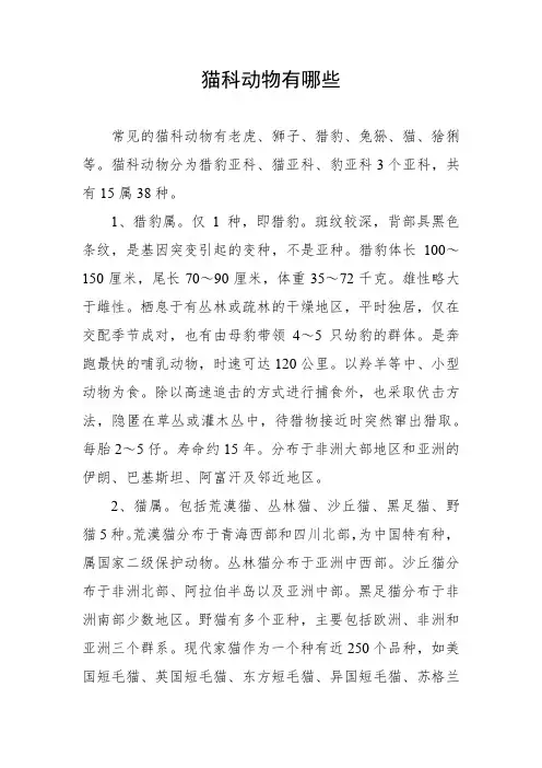 猫科动物有哪些