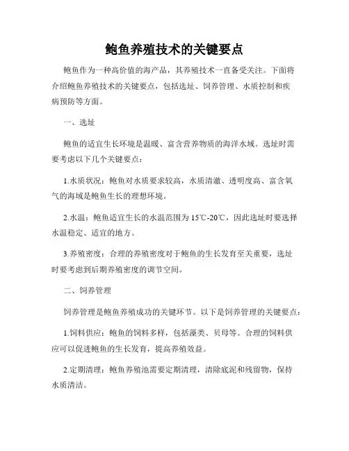 鲍鱼养殖技术的关键要点