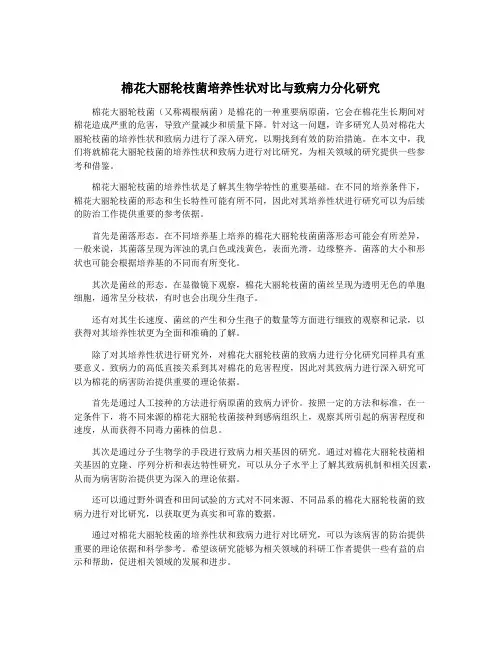 棉花大丽轮枝菌培养性状对比与致病力分化研究