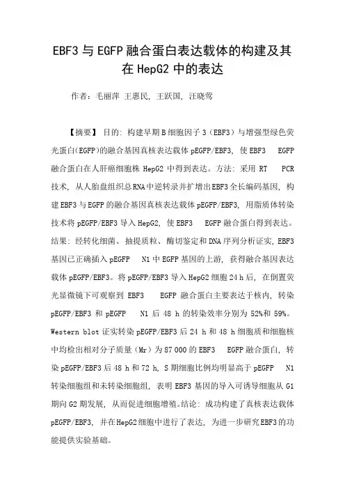 EBF3与EGFP融合蛋白表达载体的构建及其在HepG2中的表达