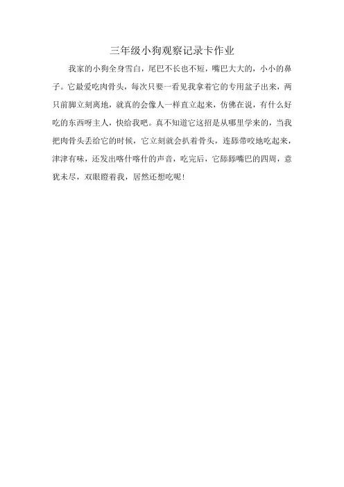 三年级小狗观察记录卡作业