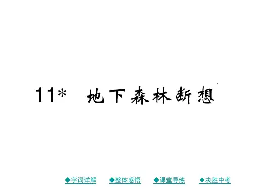 语文九年级下人教版第11课《地下森林断想》课件(26张)