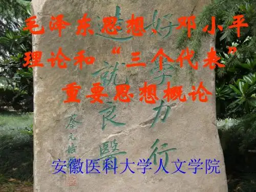 祖国完全统一的构想