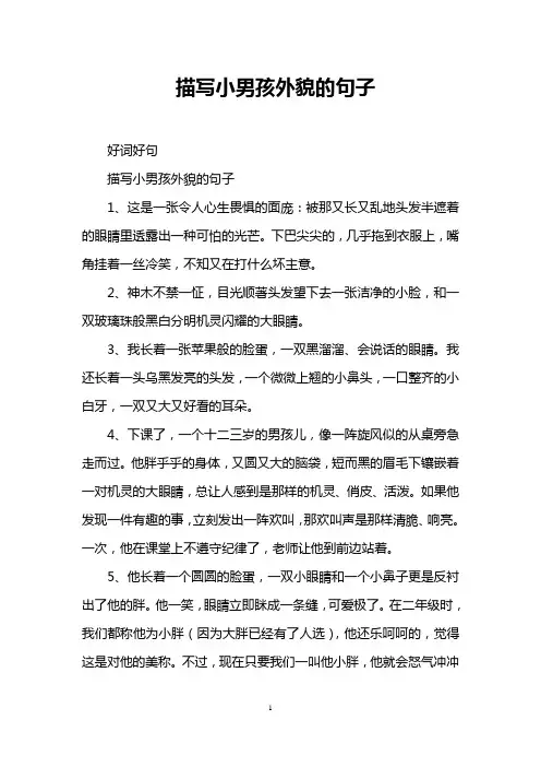 描写小男孩外貌的句子